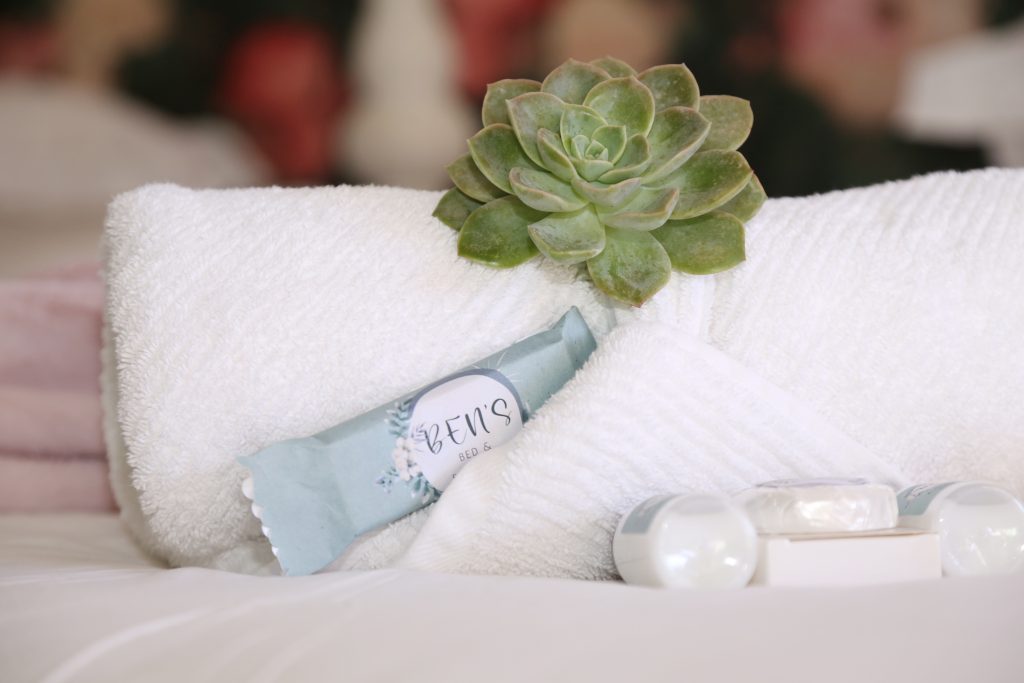 Sunlit garden and terrace at Ben’s Bed & Breakfast